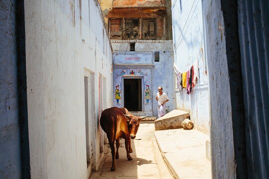 Tour image 11